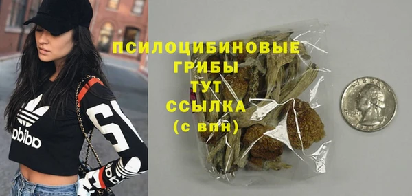 мдма Ельня