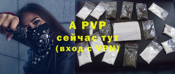 молекула духа Дмитров