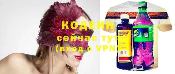 МДПВ Дмитриев