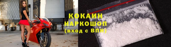 МДПВ Дмитриев