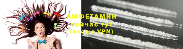 МДПВ Дмитриев