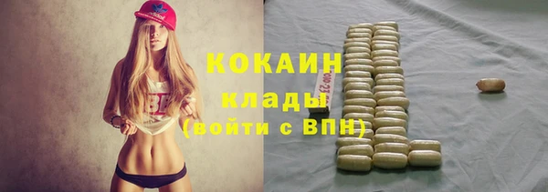 МДПВ Дмитриев