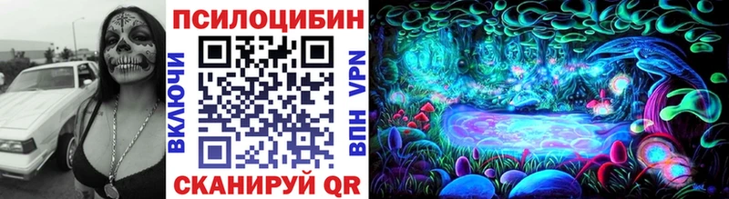Купить  Саров  Галлюциногенные грибы мицелий 